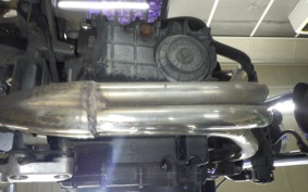 HONDA HORNET 250 2010 MC31