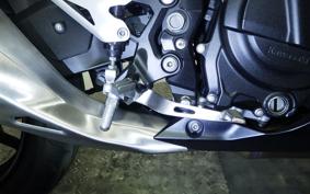 KAWASAKI NINJA 250 2 2019 EX250P
