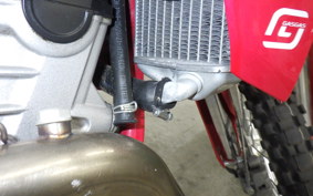 GASGAS EC 250 F