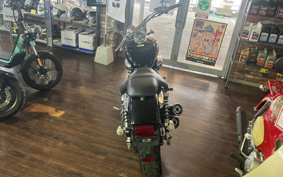 HONDA V-TWIN MAGNA MC29