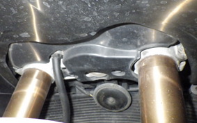 SUZUKI HAYABUSA Gen.2 2009