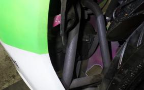 KAWASAKI NINJA 250R EX250K