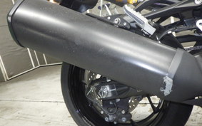 KAWASAKI ZX 1400 NINJA R A 2019