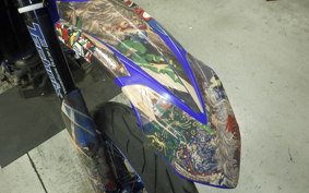 YAMAHA WR250X 2026 DG15J