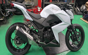 KAWASAKI Z250 ER250C