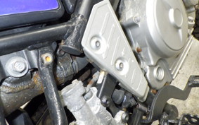 YAMAHA TRICKER 2021 DG10J