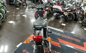 KAWASAKI W800 2024 EJ800E