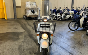 HONDA  BENLY  PRO  AA05