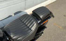 HARLEY FXBBS 2022 YYK