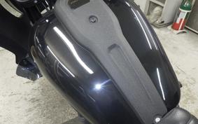 HARLEY FXLRST1920 2024