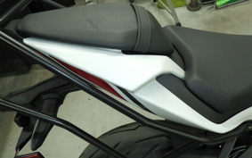 KAWASAKI NINJA ZX-6R A 2024 ZX636J