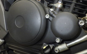 YAMAHA FZS25A