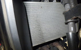 YAMAHA YZF-R25 2023 RG43J
