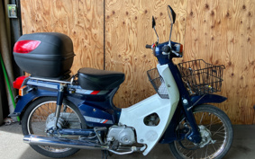 HONDA SUPER CUB50 C50