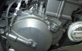 KAWASAKI ELIMINATOR 250 SE 2022 EL250A