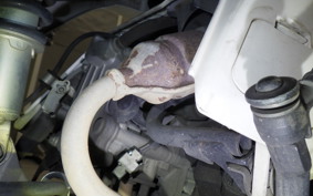 HONDA GYRO CANOPY 2025 TA03