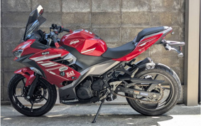 KAWASAKI NINJA 250 EX250P
