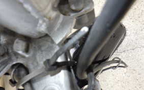 HONDA MAGNA 50 2020 AC13