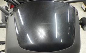 HONDA REBEL 250 S 2011 MC49