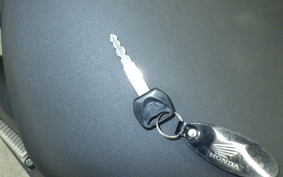 HONDA REBEL 250 A 2019 MC49