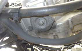 SUZUKI GRASS TRACKER NJ47A
