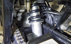 HONDA APE 50 2006 AC18