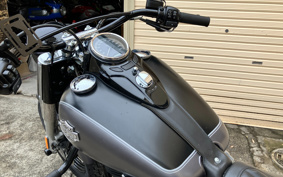 HARLEY FLS 2014 JR5