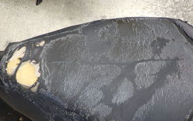 HONDA TACT Gen.4 AF75