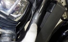 HONDA VT400S 2013 NC46