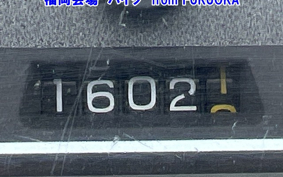 SUZUKI SEPIA
