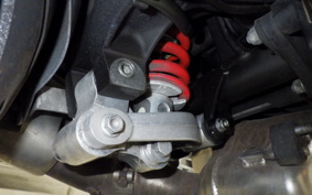 MOTO GUZZI SPORT 1200 4V 2013