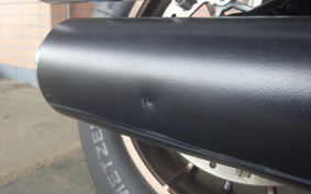 HARLEY FXLRS 2024 YWZ