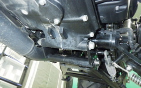 OTHER ENFIELD HUNTER 350 2023