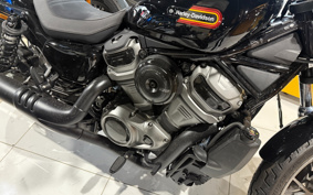 HARLEY  HARLEY RH975S NIGHT  STAR  2023 ZF1