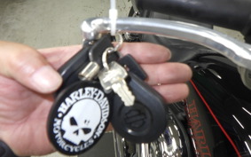 HARLEY FXDL 1580 2016
