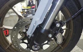 HARLEY FXLRST1920 2025