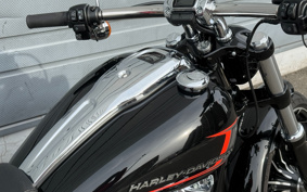 HARLEY FXBR 2023 YEZ