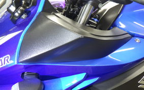 SUZUKI GSX250R 2017