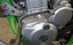 KAWASAKI KLX250 Gen.2 1999 LX250S