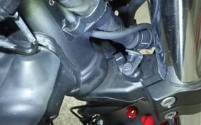 YAMAHA XSR700 2021 RM22J