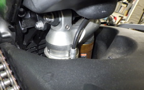 KAWASAKI NINJA H2 ｶｰﾎﾞﾝ 2021 ZXT02J