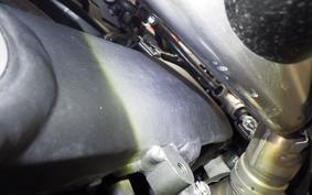 KAWASAKI NINJA 1000SX 2024 ZXT02K