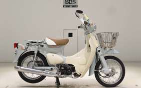 HONDA LITTLE CUB E AA01