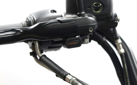 HARLEY XL1200NS 2021 LP3