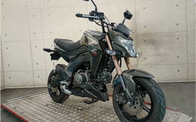 KAWASAKI Z125 PRO BR125H