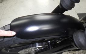 HARLEY XL883N 2021