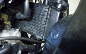 YAMAHA TZR50R 1969 4EU