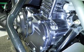 SUZUKI V-STROM 250 A