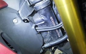 HONDA HORNET 2.0