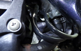 HONDA ZOOMER 2008 AF58